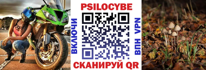 дарнет шоп Белорецк Псилоцибиновые грибы Psilocybine cubensis
